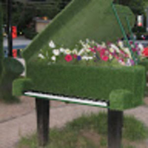 Meet your Posher, Ani